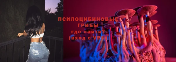 apvp Алексин