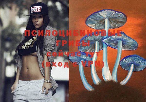 apvp Алзамай