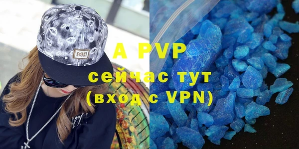 apvp Алзамай