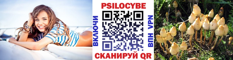 Галлюциногенные грибы мицелий  Дмитриев 